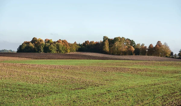 View Countryside Field — Stock Photo, Image