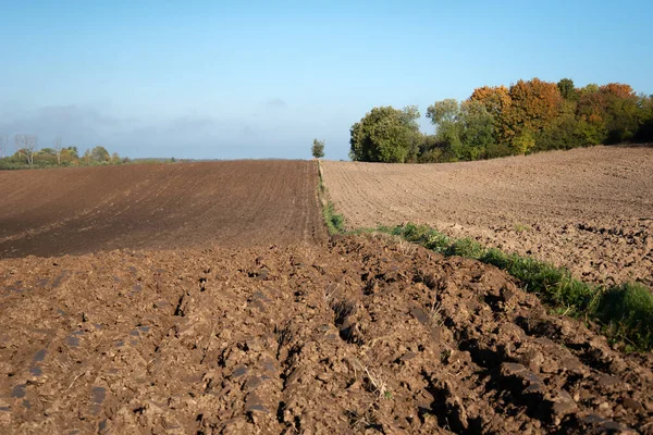View Countryside Field — Stock Photo, Image
