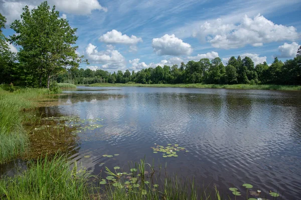 Вид Красиве Чисте Водне Озеро — стокове фото