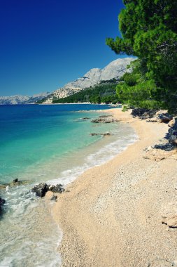 cristalic temiz su pines Hırvatistan ile muhteşem plaj