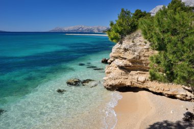 pines, makarska, Hırvatistan ile güzel Adriyatik Denizi Körfezi