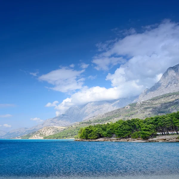 Baai van de Adriatische zee met dennen — Stockfoto