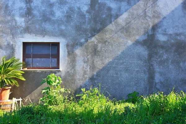 Grungy old wall of house, grown with wild grass with a strip of — Stock Photo, Image