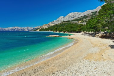 makarska içinde çam ağaçları ile güzel Adriyatik Denizi Körfezi