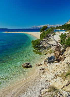 pines Hırvatistan ile güzel Adriyatik Denizi Körfezi