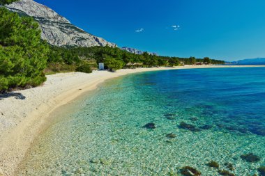 çam ve berrak su ile inanılmaz Adriyatik Denizi defne