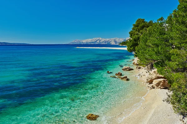 Hermosa bahía del mar Adriático con pinos en Makarska, Croacia — Foto de Stock