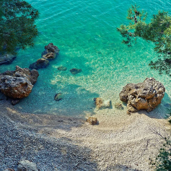 Incroyable plage avec de l'eau de mer cristalique propre avec des pins en Croatie — Photo