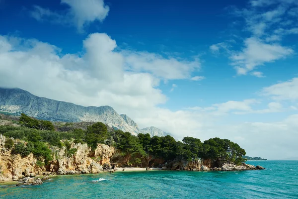 Increíble bahía del mar Adriático con pinos y agua cristalina — Foto de Stock