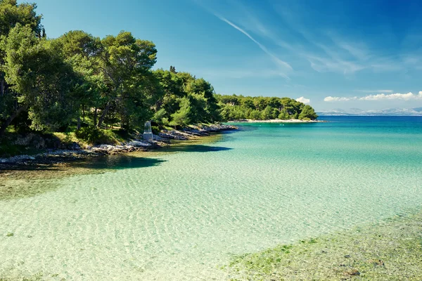 Verbazingwekkende Adriatische zee baai met dennen en kristal helder water — Stockfoto