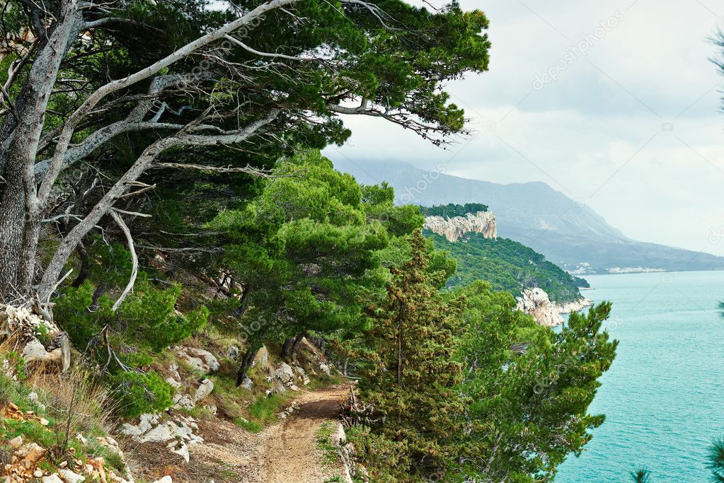 Beautiful scenic hiking trails in the park of Makarska