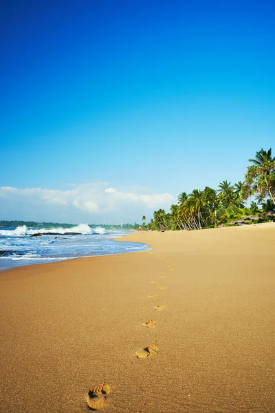 Beautiful seascape with footprints on sand — Stock Photo, Image