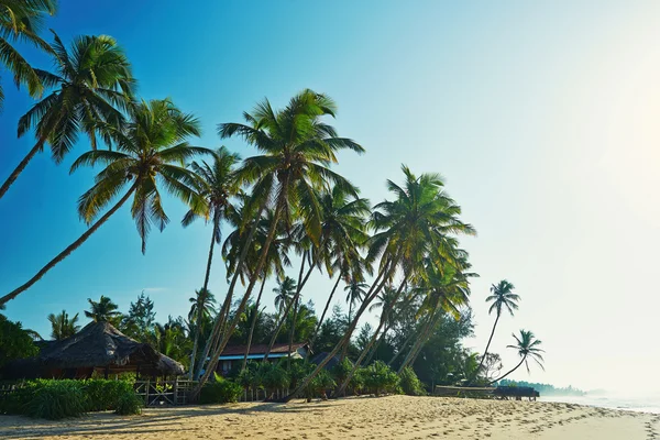 Bella spiaggia oceanica vuota nello Sri Lanka — Foto Stock