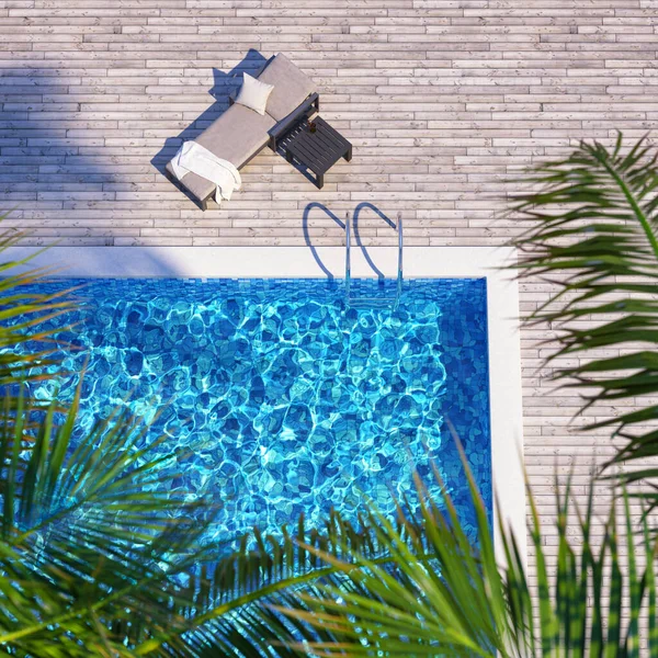 Swimming Pool Wooden Deck Sunbed Palm Tree Top View Luxury — Stockfoto