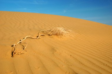 Dunes thar Çölü, İstanbul, Türkiye