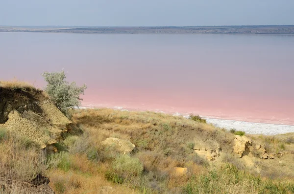Água vermelha de sal Kuyalnicky liman, Odessa, Ucrânia — Fotografia de Stock