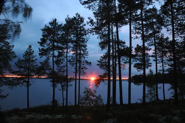 Hermoso atardecer en el bosque de pinos, Karelia, Rusia del Norte — Foto de Stock