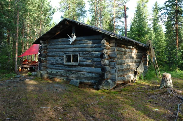Casa de pescador de madeira em pinhal, Carélia, Rússia — Fotografia de Stock