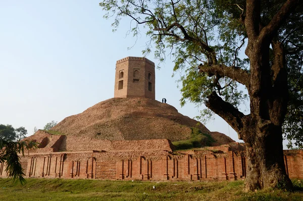 Chaukhandi stupa in sarnath mit achteckigem turm, indien — Stockfoto