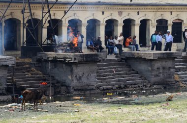 pashupatinath Tapınağı, Katmandu kutsal bagmati Nehri boyunca ölü yakma töreni yapmak insanlar