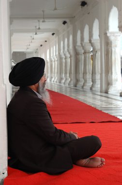 İhtiyar Pencap - ünlü dini landmark içinde meditasyon altın Tapınak, ana kutsal yere Sih din, Hindistan