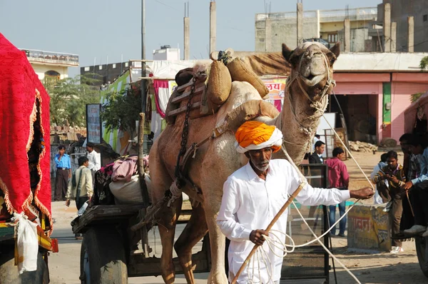 Old tribal nomad cameleer going to camel decoration competition at cattle fair in hindu holy town Pushkar,India — Stock Photo, Image