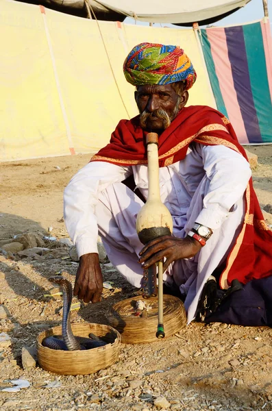 Incantatore di serpenti nomadi che gioca a cammello mela, Pushkar, India — Foto Stock