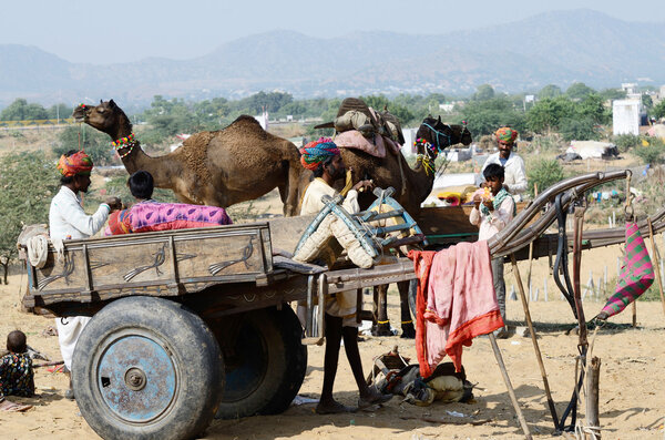 Tribal gypsy people are preparing to traditional cattle fair holiday in nomadic camp,Pushkar,India