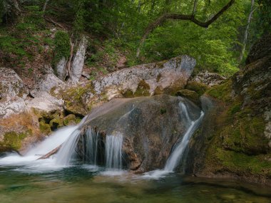 Yeşil ormanların derinliklerinde küçük bir nehir.