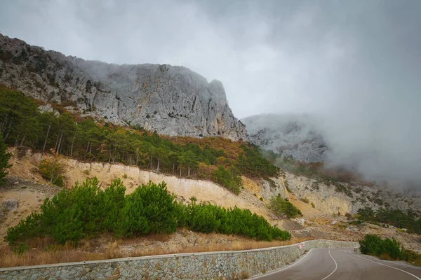 Bulutlu bir günde, yaz ormanlarında asfalt yol.