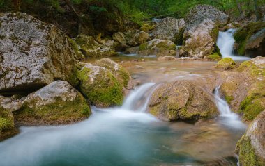 Yeşil ormanların derinliklerinde küçük bir nehir.