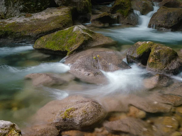 Yeşil ormanların derinliklerinde küçük bir nehir.