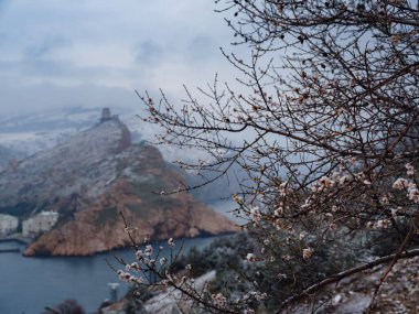 Antik şato, denizin üzerinde yükselen güzel bir kayanın üzerinde harabe.