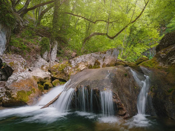 Маленька річка глибоко в зелених лісах — стокове фото