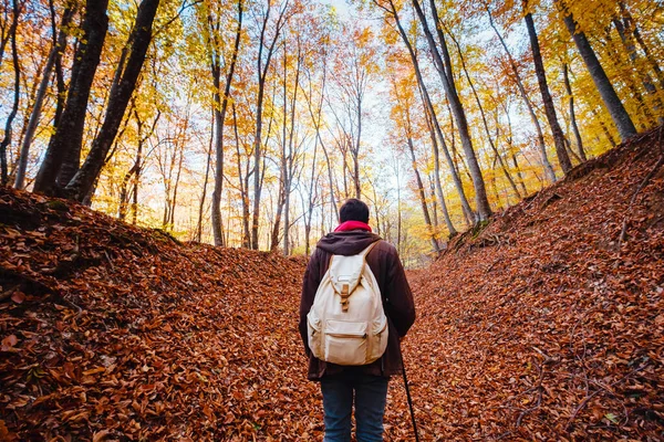 Hombre en bosques de otoño, paisaje de bosque de fantasía — Foto de Stock