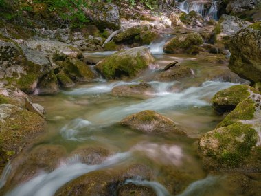Yeşil ormanların derinliklerinde küçük bir nehir.