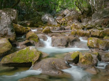 Yeşil ormanın derinliklerinde küçük bir nehir. Dağların kırsal kesiminin harika bahar manzarası. Orman ve kayalık kıyılar arasında berrak su. Nehir kıyısında ahşap çit.