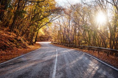 Sonbahar ormanında yaprakları dökülen asfalt yol. Ön plana odaklan. Sonbahar manzarası