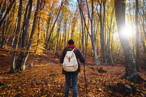 Hombre en bosques de otoño, paisaje de bosque de fantasía — Foto de Stock