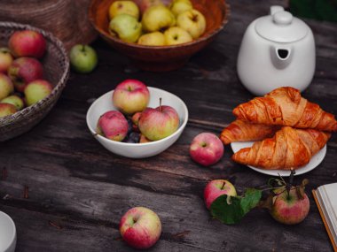 Elma bahçesinde güzel bir sonbahar.