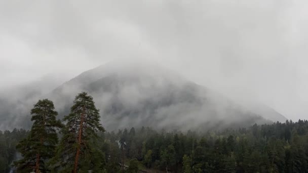 Όμορφα βουνά του Βόρειου Καυκάσου την φθινοπωρινή περίοδο, Arkhyz, Karachay-Cherkessia — Αρχείο Βίντεο