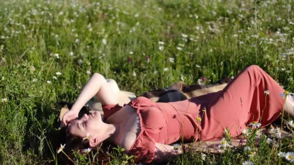 Красива молода жінка в ромашковому полі — стокове відео
