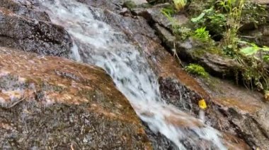 River Creek Şelalesi akan manzara.