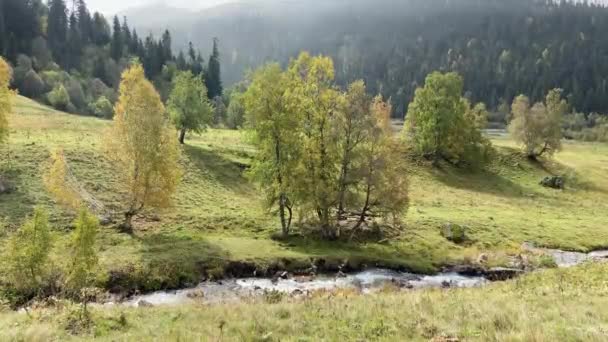 Gyönyörű hegyek az észak-kaukázusi őszi szezonban, Arkhyz, Karachay-Cserkessia — Stock videók