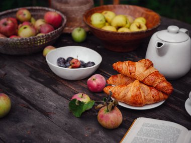 Elma bahçesinde güzel bir sonbahar.