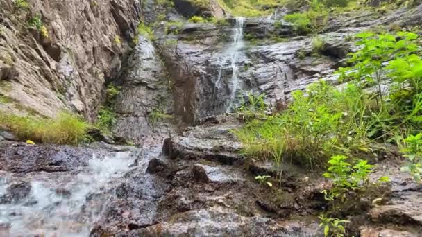 Fiume torrente cascata scorre vista. — Video Stock