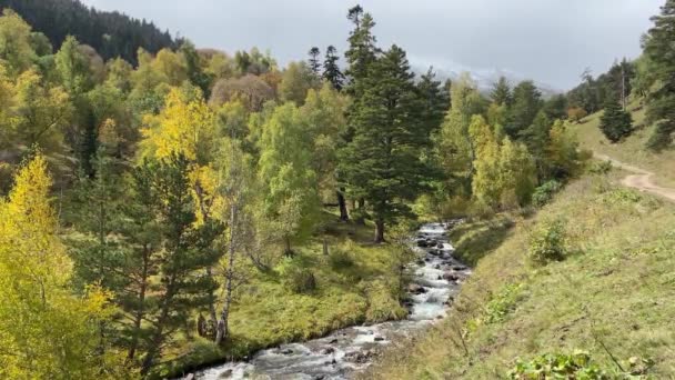 Piękne góry Północnego Kaukazu w sezonie jesiennym, Arkhyz, Karaczay-Czerkiesia — Wideo stockowe