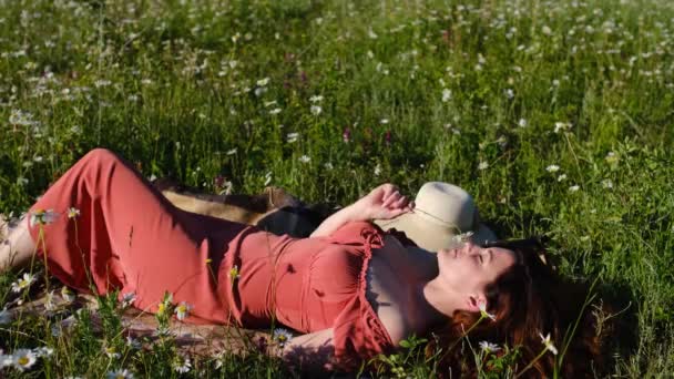 Wanita muda cantik di bidang chamomile — Stok Video