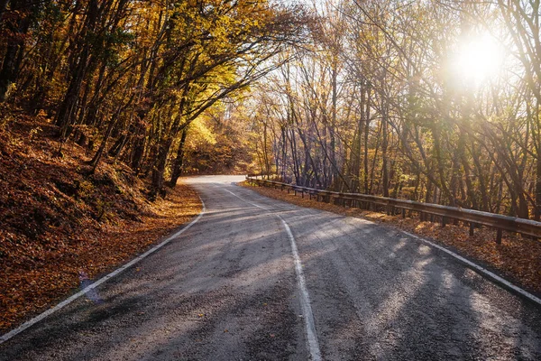 Estrada de asfalto com folhas caídas eml floresta de outono. — Fotografia de Stock
