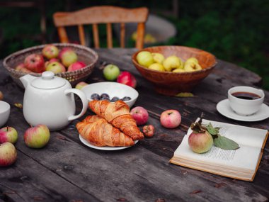Elma bahçesinde güzel bir sonbahar.